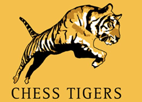 chess tiger dsb 3cm